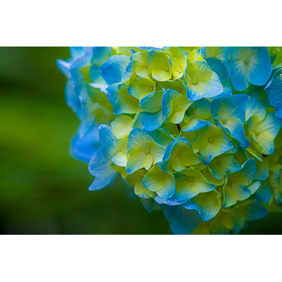 Thumbnail Image 1