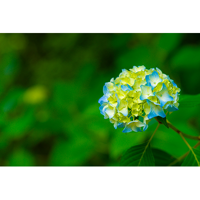 Thumbnail Image 1