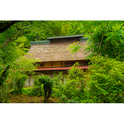 Thumbnail Image 1