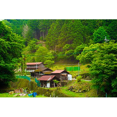 Thumbnail Image 1