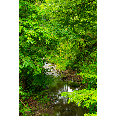 Thumbnail Image 1