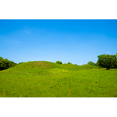 Thumbnail Image 1