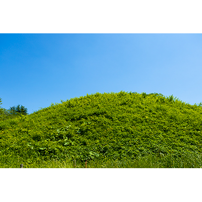 Thumbnail Image 1