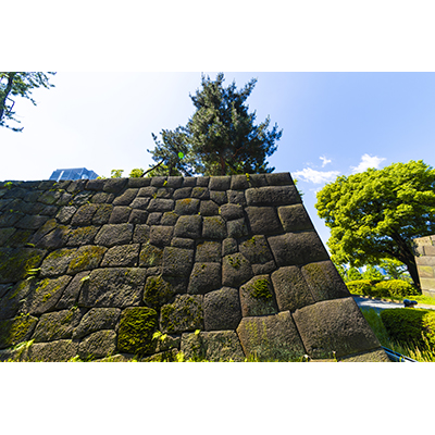 Thumbnail Image 1