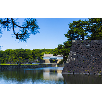 Thumbnail Image 1