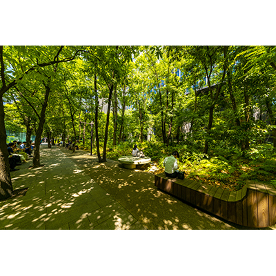 Thumbnail Image 1