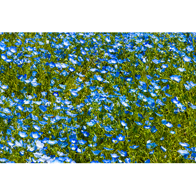 Thumbnail Image 1