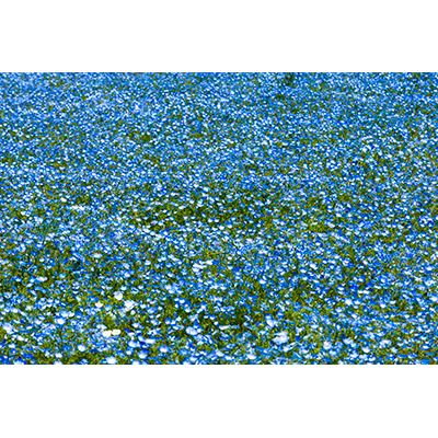 Thumbnail Image 1