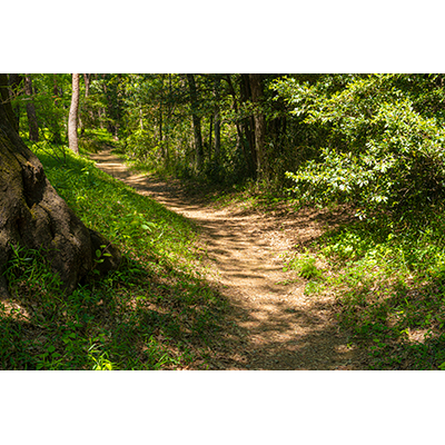 Thumbnail Image 1