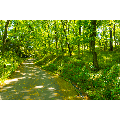 Thumbnail Image 1