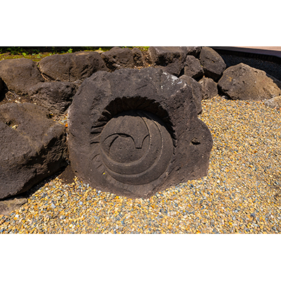 Thumbnail Image 1